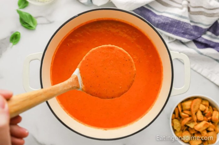 Panera Tomato Basil Soup Recipe A Culinary Guide