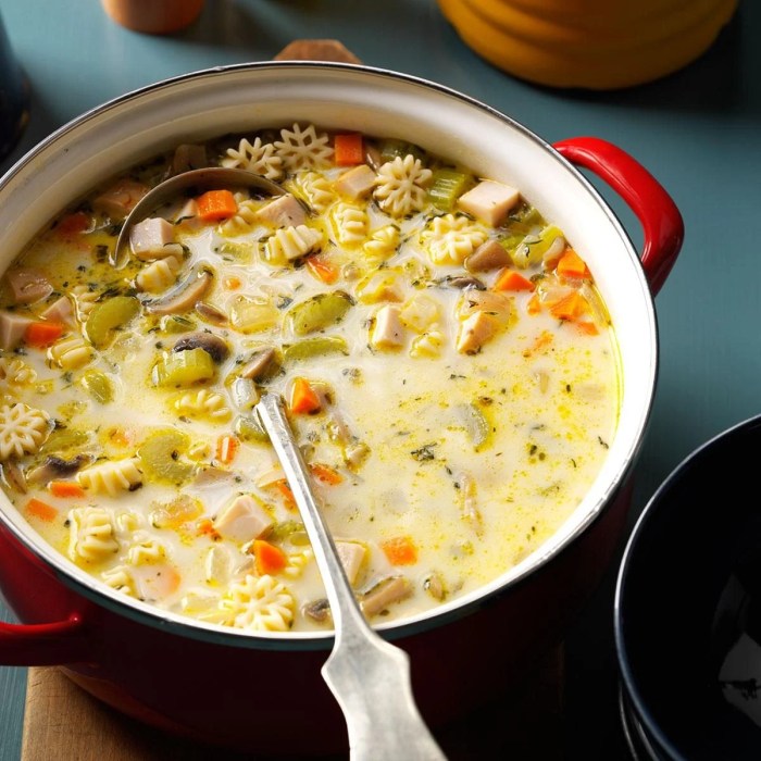 Leftover Turkey Recipes Soup Creations